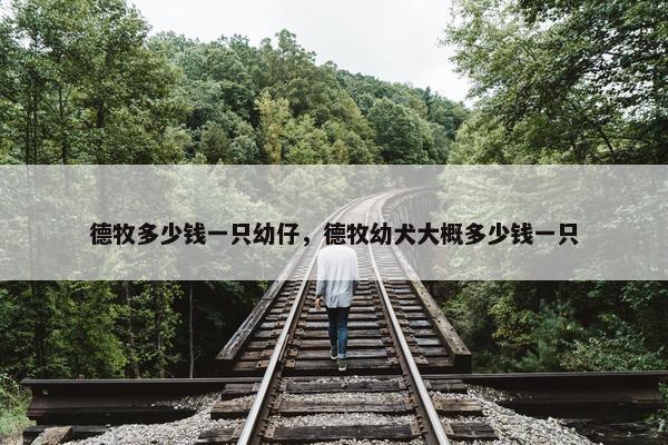 德牧多少钱一只幼仔，德牧幼犬大概多少钱一只