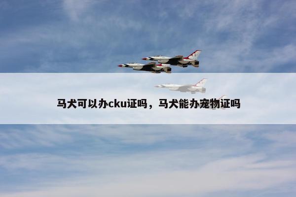 马犬可以办cku证吗，马犬能办宠物证吗