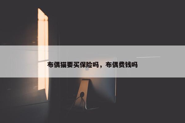 布偶猫要买保险吗，布偶费钱吗