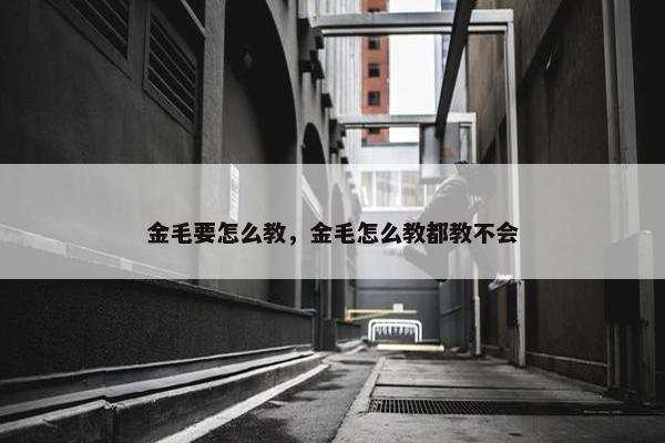 金毛要怎么教，金毛怎么教都教不会