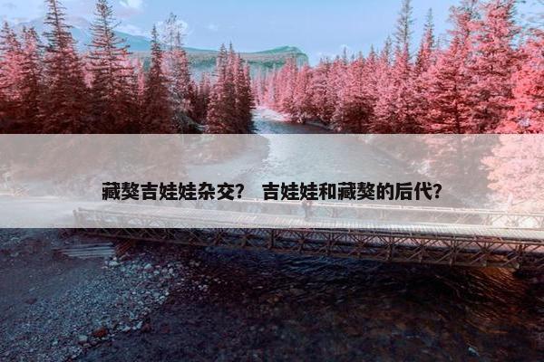 藏獒吉娃娃杂交？ 吉娃娃和藏獒的后代？