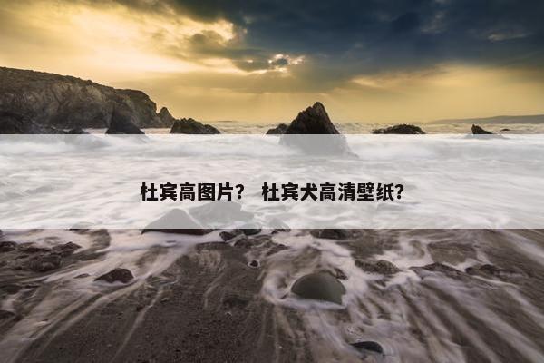 杜宾高图片？ 杜宾犬高清壁纸？