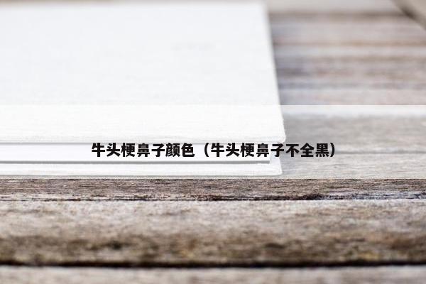 牛头梗鼻子颜色（牛头梗鼻子不全黑）