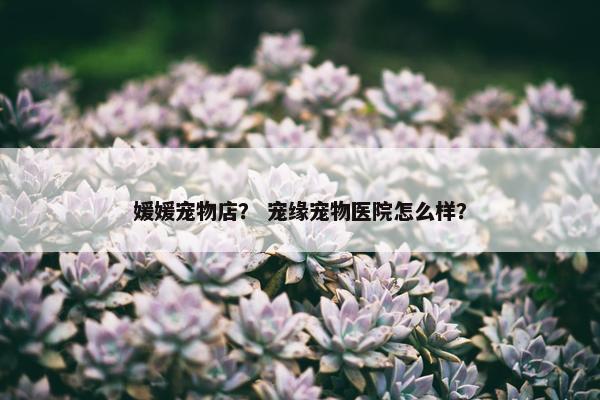 放弃