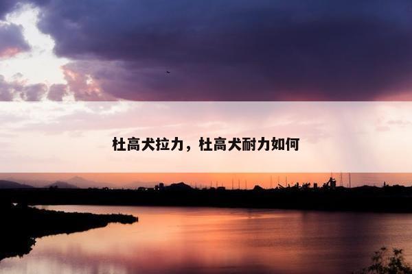 杜高犬拉力，杜高犬耐力如何
