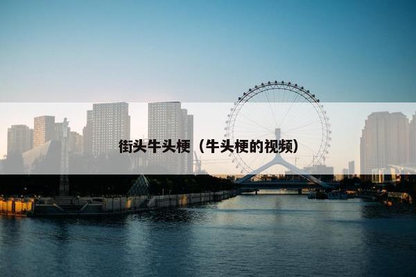 街头牛头梗（牛头梗的视频）