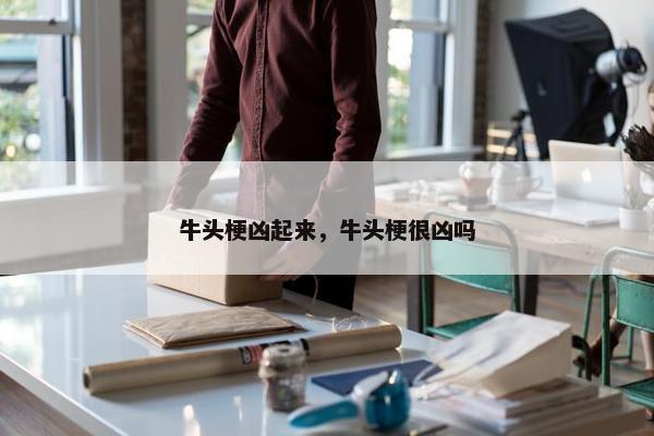 性格 第12页