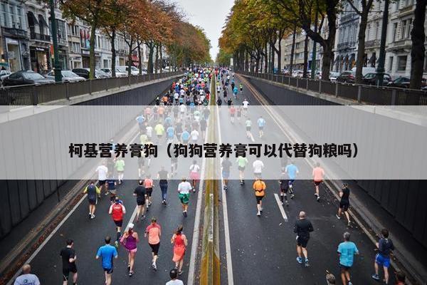 柯基营养膏狗（狗狗营养膏可以代替狗粮吗）
