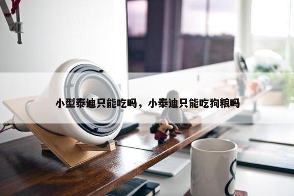 小型泰迪只能吃吗，小泰迪只能吃狗粮吗