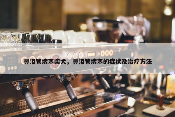 鼻泪管堵塞柴犬，鼻泪管堵塞的症状及治疗方法