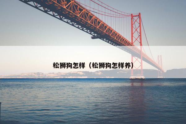 松狮狗怎样（松狮狗怎样养）