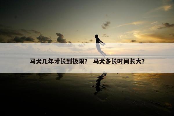 马犬几年才长到极限？ 马犬多长时间长大？