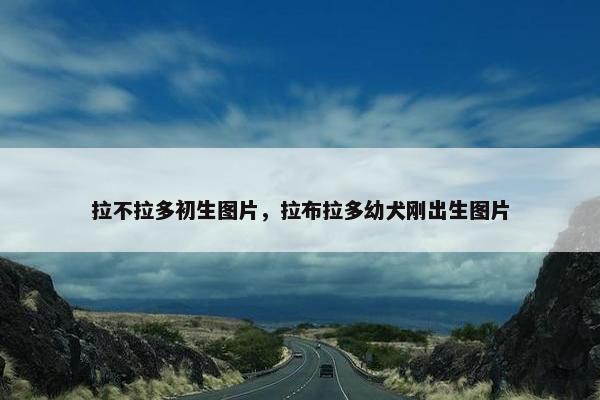 拉不拉多初生图片，拉布拉多幼犬刚出生图片