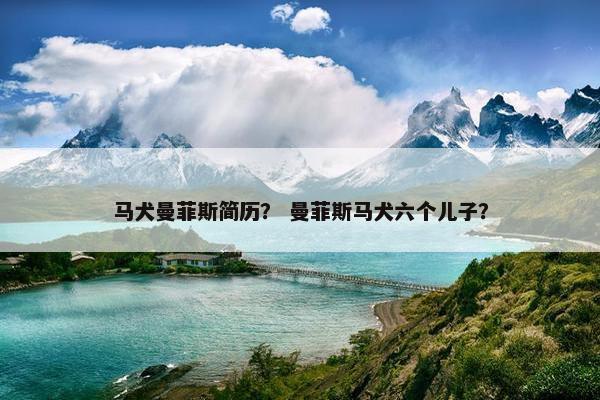 马犬曼菲斯简历？ 曼菲斯马犬六个儿子？