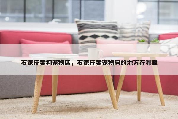 石家庄卖狗宠物店，石家庄卖宠物狗的地方在哪里