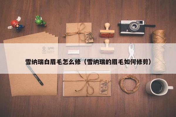 雪纳瑞白眉毛怎么修（雪纳瑞的眉毛如何修剪）