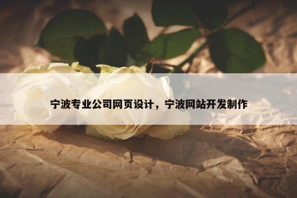 宁波专业公司网页设计，宁波网站开发制作