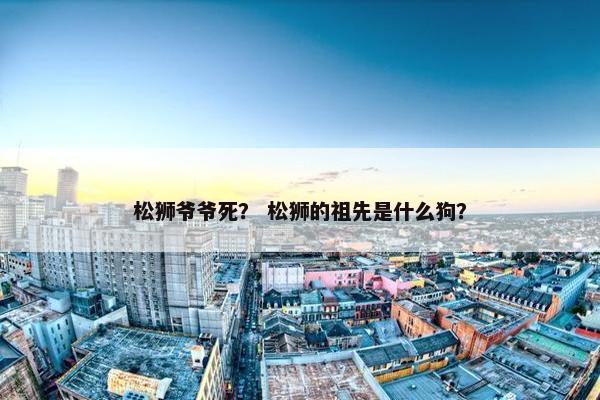 松狮爷爷死？ 松狮的祖先是什么狗？