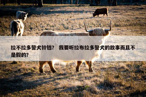 拉不拉多警犬铃铛？ 我要听拉布拉多警犬的故事而且不是假的？