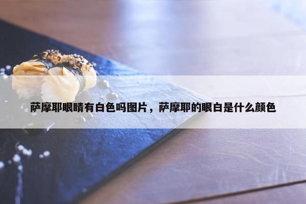 萨摩耶 第20页