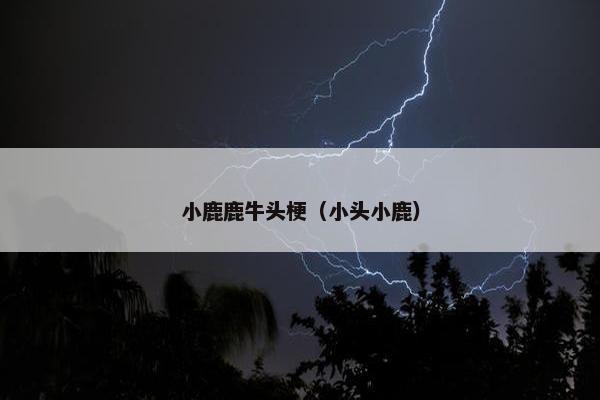 小鹿鹿牛头梗（小头小鹿）