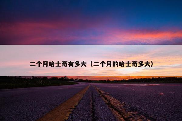 二个月哈士奇有多大（二个月的哈士奇多大）