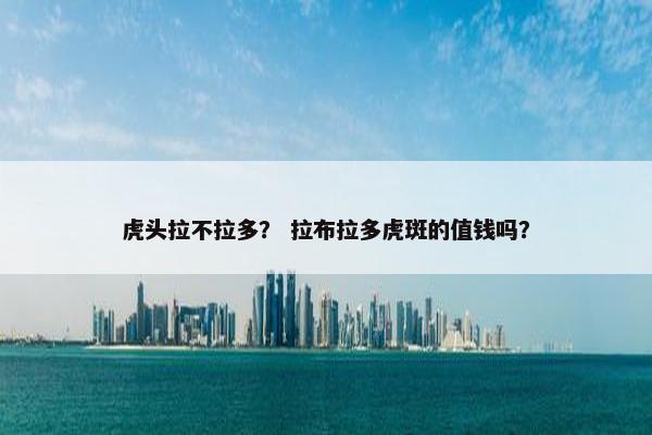 虎头拉不拉多？ 拉布拉多虎斑的值钱吗？