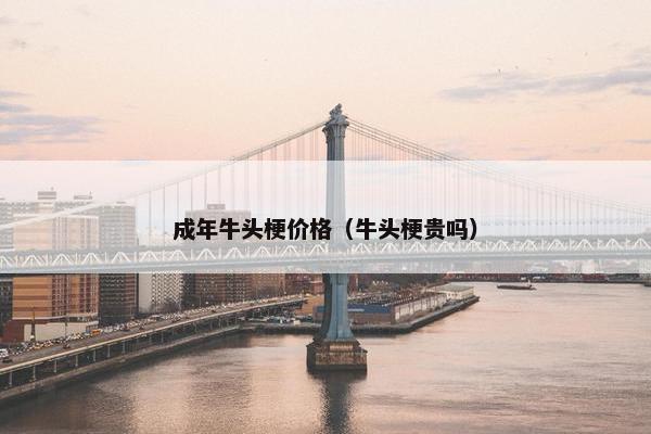 成年牛头梗价格（牛头梗贵吗）