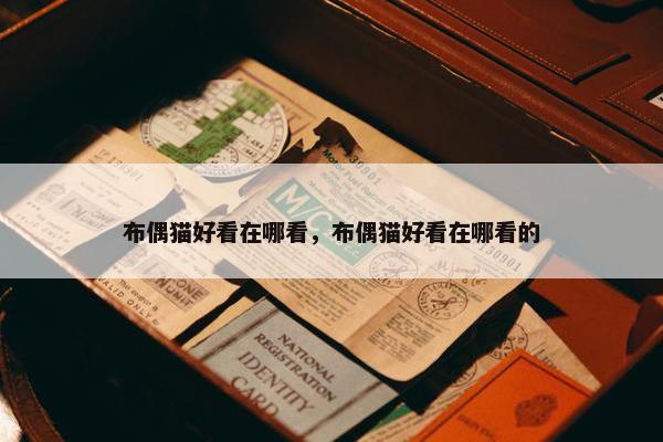 布偶猫好看在哪看，布偶猫好看在哪看的