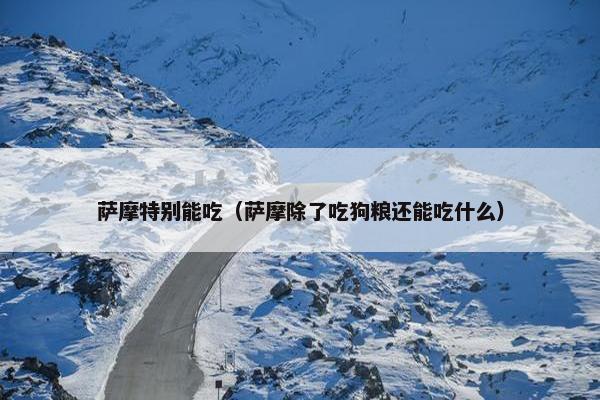 萨摩特别能吃（萨摩除了吃狗粮还能吃什么）
