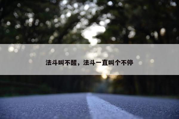 法斗叫不醒，法斗一直叫个不停