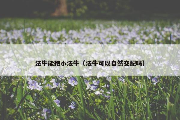 法牛能抱小法牛（法牛可以自然交配吗）