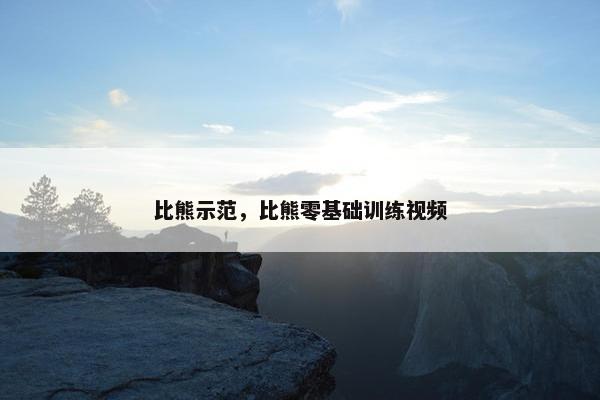 比熊示范，比熊零基础训练视频