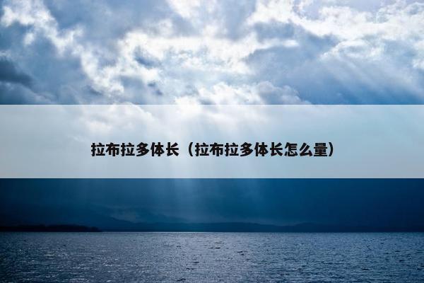 拉布拉多体长（拉布拉多体长怎么量）