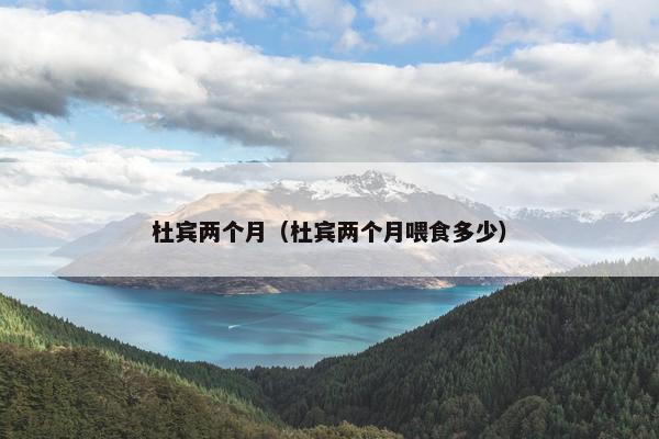 杜宾两个月（杜宾两个月喂食多少）