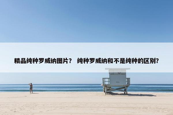 精品纯种罗威纳图片？ 纯种罗威纳和不是纯种的区别？