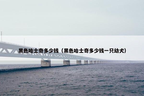 黑色哈士奇多少钱（黑色哈士奇多少钱一只幼犬）