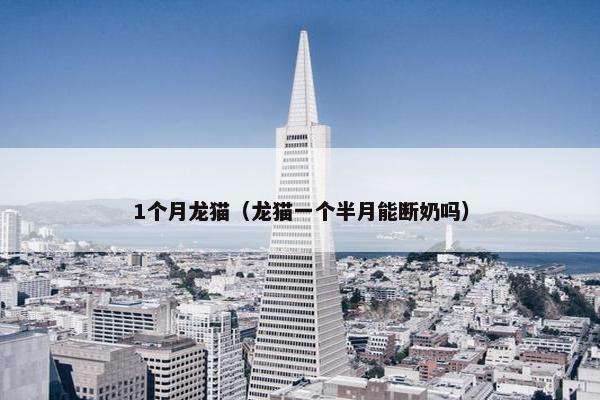 1个月龙猫（龙猫一个半月能断奶吗）