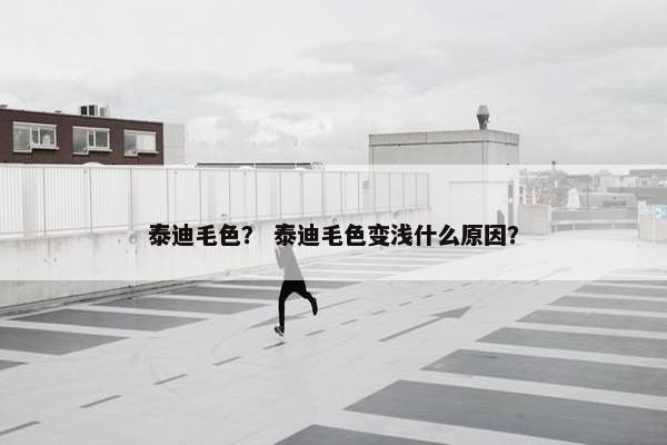 泰迪毛色？ 泰迪毛色变浅什么原因？