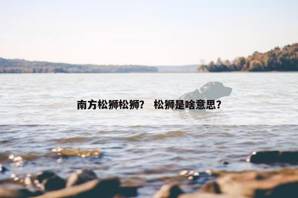 南方松狮松狮？ 松狮是啥意思？