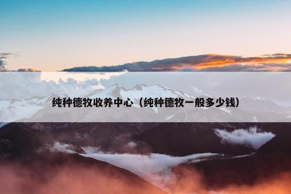 纯种德牧收养中心（纯种德牧一般多少钱）