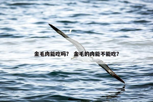 金毛肉能吃吗？ 金毛的肉能不能吃？