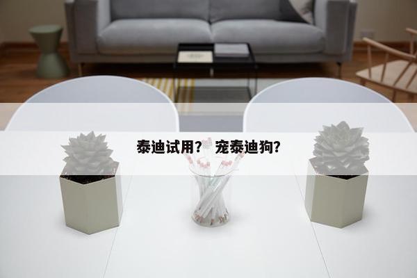 泰迪试用？ 宠泰迪狗？