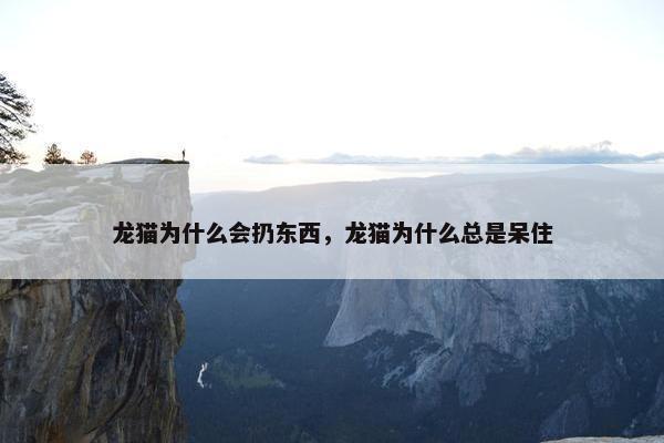 龙猫为什么会扔东西，龙猫为什么总是呆住