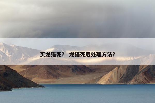 龙猫 第33页
