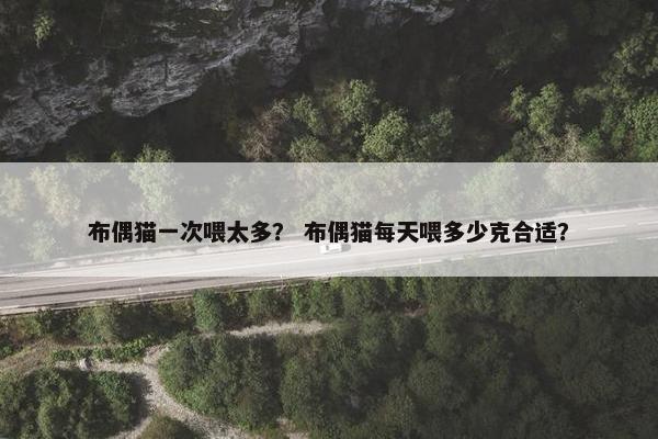布偶猫一次喂太多？ 布偶猫每天喂多少克合适？