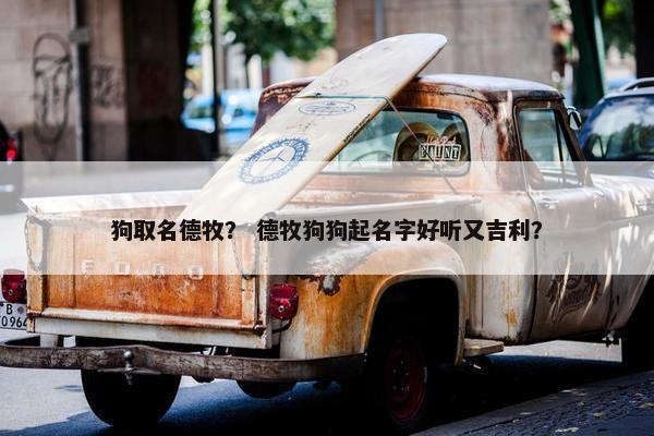狗取名德牧？ 德牧狗狗起名字好听又吉利？