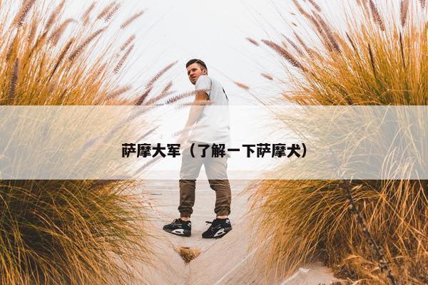 日本 第5页