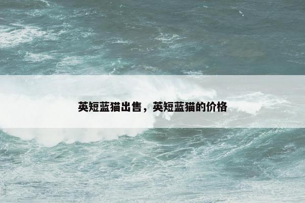 英短蓝猫出售，英短蓝猫的价格