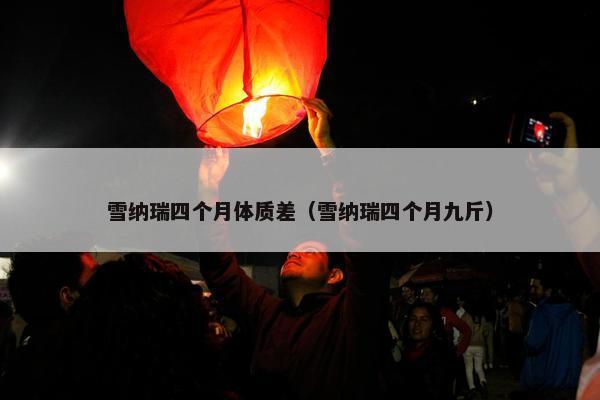 雪纳瑞四个月体质差（雪纳瑞四个月九斤）